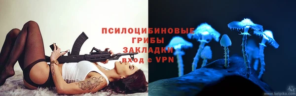 героин Алексин