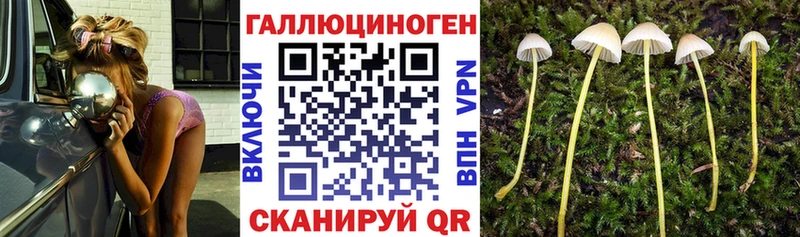 Псилоцибиновые грибы прущие грибы  Мышкин 